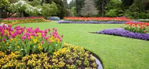 Gardening Services in Goa