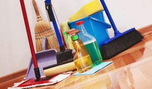 Cleaning Services in Goa